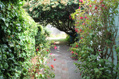 Walkway